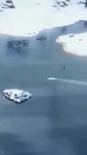 #ufos #aliens #ufo #video #ovnis #secret #alien #space #fly | Ufos live