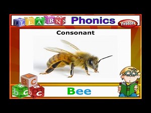 Learn Phonics Consonants I alphabet phonetics a to z Sounds I Learn Phonics For Kids #pebbles