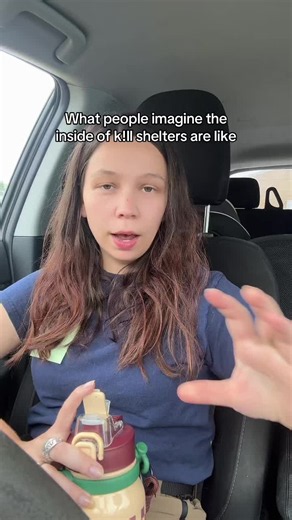 I have an active imagination but come on #animalrescue #animalshelter #dogsoftiktok #dogcommunity #dogtok
