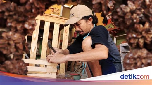 Kenapa Kayu Jati Paling Baik Dipakai untuk Furnitur? Kelebihan dan Kekurangannya