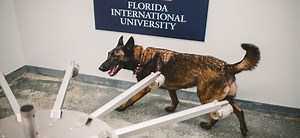Detection Dog Program