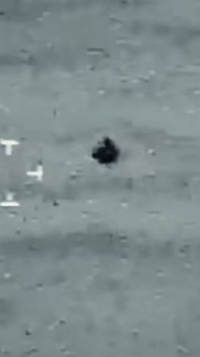 What do you really think we have been dealing with all these decades? 🤔 We have never been alone! 👽🛸 #AlienPhenomenon #Aliens #CoverUp #Anunnaki #AlienTech #Area51 #TheGreys #Greys #ET #UFO #UAP #Conspiracy #UFOsighting #AlienNation #HiddenHistory #AlienLife #AncientCivilizations #AncientAliens #ETs #SpaceTravel #SpaceExploration #SpaceExplorer #ExtraTerrestrials #AlienAbduction #Sections #Religion #TimeTravel #Future #Ancient #ReverseEngineering | Alien Phenomenon