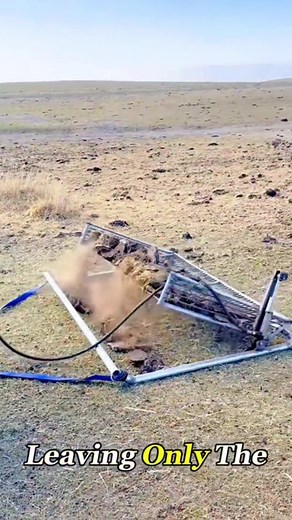 Why chinese herder race to collect cow dungs? #cowdung #cows #dungs | Eisha Ciano