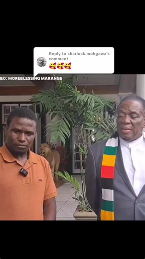 Revolutionary Zimbabwean Inventor Creates Self-Powering Vehicle