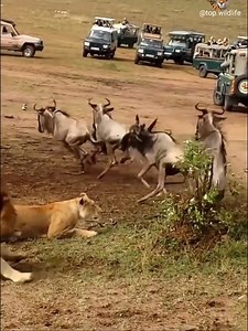 2.4M views · 48 reactions | They don't pay us the same#FacebookMeta2023 #Threads #CR #fifaworlcup #Saudiaraba #apple #games #hotel #band #euro2024 #CR7 #INTERMIAMI #MESSI #HALLAND #WATCH #Mancity #TalabdEp2 ❤️❤️❤️ | TIN TIN | Facebook