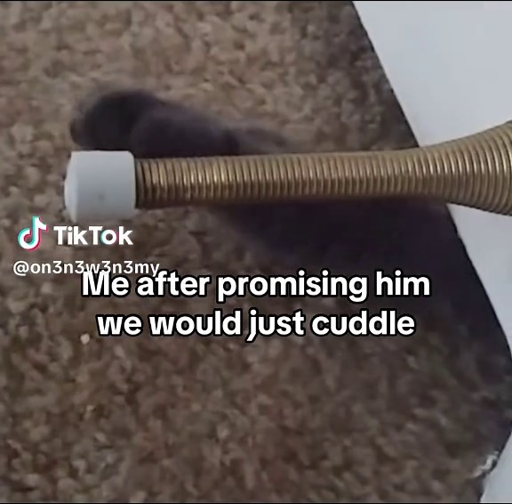 Cuddle Memes for Every Mood