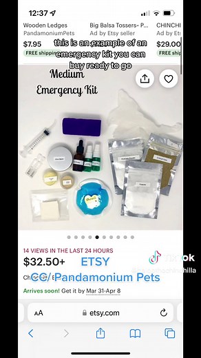 Baloo The Chinchilla on TikTok