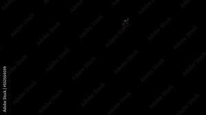 Realistic Dragon flying isolated on a black background.effect background footage motion graphics overlay 4K drag and drop editing software supporting blending modes ProRes 4444 codec , 25FPS.