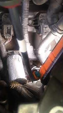 2015 Chevy Traverse Engine Coolant Temp Sensor Connector