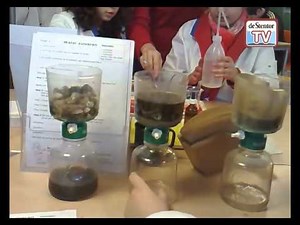 Waterkringloop bij de Kaardebol