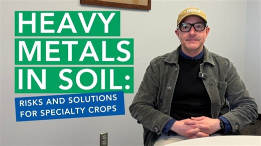 Reducing Heavy Metal Risk in Soil for Specialty Crops | Ward Laboratories, Inc. posted on the topic | LinkedIn