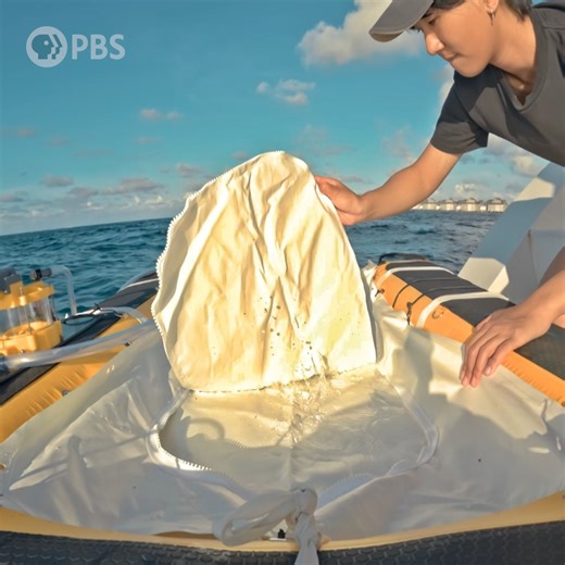 35K views · 238 reactions | Meet Floaty Boat, the high-tech vessel ensuring precise coral larvae restoration. Watch Changing Planet: Coral Special now on the PBS app! | PBS | Facebook