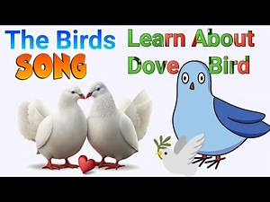 Dove Song on birds | Dove Delight: Educational Children's Video
