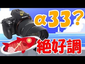 20210302 世に出せないSONY a33？は絶好調！ 銚子の金目もデカくて旨かった！Aマウント怨み節あらため I LOVE♥Aマウント。でも又壊れんのかな…