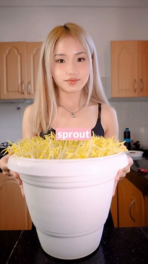 ˚⋆｡SNACKIES♡ ⋆｡˚ on Instagram: "What should I sprout next?🌱 [how to grow mung bean sprouts at home]"