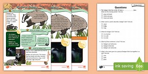 KS1 All About Badgers Differentiated Reading Comprehension Activity