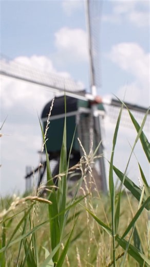 Levv Labels | Our new SPRING/SUMMER collection has arrived 🌿 Fresh styles, easy fits and effortless looks made for sunny days and endless movement. From... | Instagram