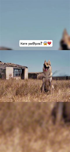 Катя попала под мин4 😢💔 с Катей все? #ландыши #рекомендации