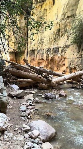 Hiking to Cedar Canyon’s Waterfalls – Ashdown Gorge Full Trail Tour #Waterfalls #utah #Shorts