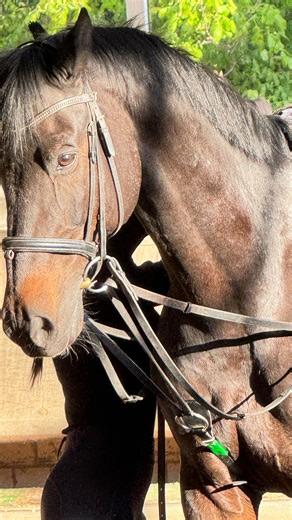 Ebru Sam on Instagram: "🤍"