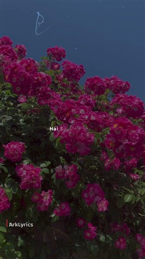 O Maahi❤️‍🩹💐~Arijit Singh || Danki || #LoveSong #RomanticStatus #Trending