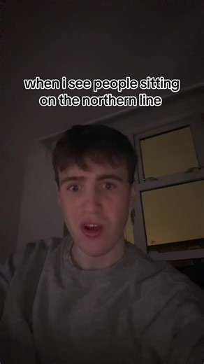 Understanding the Northern Line Incident