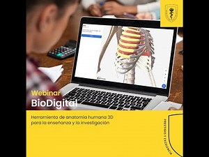 Un recorrido por BioDigital