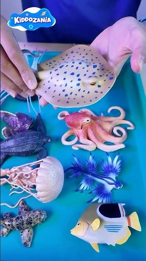 Mini Ocean Animals Diorama | Fun Facts for Kids | Sea Animal Toys & Learning
