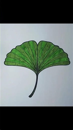 Coloring a Ginkgo Leaf 🍁 | Calm, Satisfying, No Talking