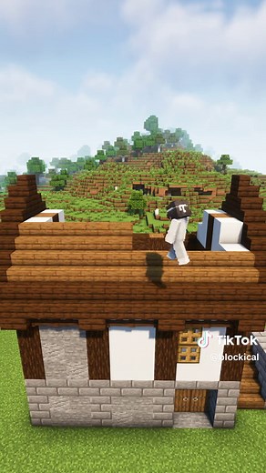 Minecraft technoblade's house #minecraft #minecraftbuilding #minecraftbuilds #minecrafttutorial