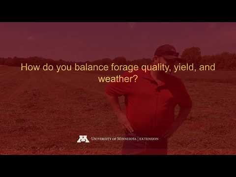 Tips for Growing and Selling Horse Hay