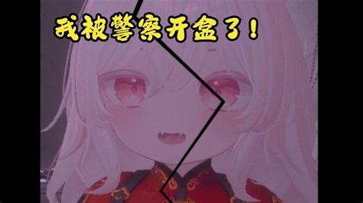 我被警察给开盒了