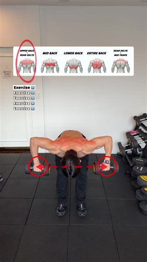 🔽등 운동 루틴 5가지 – 투암 덤벨 로우 버전 (Back Workout – 5 Dumbbell Row Variations)🔽 1. 와이드 투암 덤벨 로우(Wide Two-Arm Dumbbell Row) - 팔꿈치를 넓게 벌려 당겨 상부 등(Upper Back)과 후면 어깨(Rear Delts)를 강하게 쓰는 상부 타깃 로우 운동입니다. 2. 기본 투암 덤벨 로우(Standard Two-Arm Dumbbell Row) - 덤벨을 몸통 쪽으로 당겨 중부 등(Mid Back)과 광배근(Lats)을 고르게 자극하는 가장 기본적인 로우 운동입니다. 3. 언더그립 투암 덤벨 로우(Underhand Two-Arm Dumbbell Row) - 손바닥이 위를 향한 채 당겨 하부 광배(Lower Lats)에 깊은 수축을 주고 아래 라인을 선명하게 만드는 로우 운동입니다. 4. 뉴트럴 그립 투암 덤벨 로우(Neutral-Grip Two-Arm Dumbbell Row) - 손바닥이 서로 마주보는 그