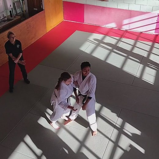 Shodokan Aikido Sheffield on Reels