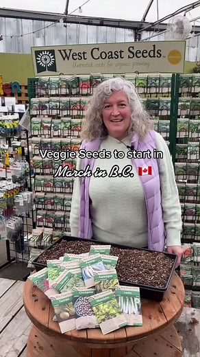 Spring Gardening Tips: How to Plant Veggie Seeds in Surrey BC