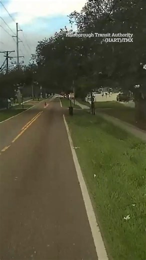 Heart-stopping moment bus driver spots and saves lost child | The US Sun - News