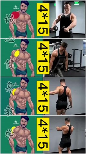 Suitable for newcomers to the movement😍😍😍#fitness #exerciseplan #weightloss #homeworkout #exercise #workout