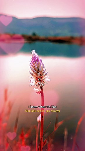 Love Is the Answer - Natalie Taylor | Song Lyrics Video