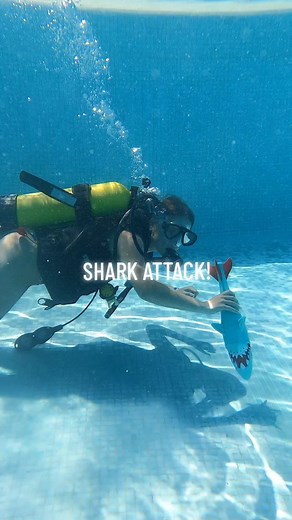 Fun is happening in Cyprus with Sun & Fun Adventures! Choose a comfortable Try scuba in the pool (starting from 8 years old) or the more adventurous one in the sea! BOOK TODAY! 🌐 https://www.sun-and-fun.cy/ 📧 info@sun-and-fun.cy 📲 357 95 593651 @ssi_international #iamssi #scubainstructor #tryscuba #dsd #discoverscuba #scubatiktok #ssiinstructor #scubacertification #cyprus #Scubadiving #scubadiver #cyprusdiving #activitiesincyprus #cyprusholiday #scuba #paphos #coralbay