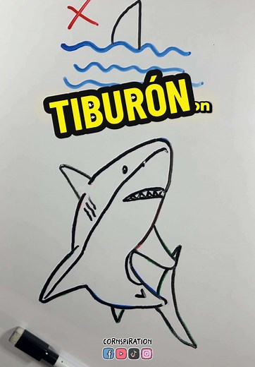 TikTok - Make Your Day