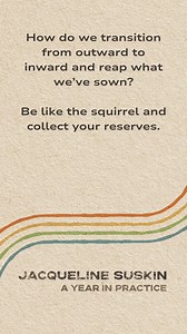 While the last glimpses of autumn are disappearing in the northern hemisphere this week, Jacqueline Suskin urges us, “as with any other seasonal shift, don’t rush into your quiet, warm winter space. Take pause to slowly uncover any new ideas that will buoy you in the following months. Gather together, collect everything you need, double-check your lists of requirements, and look over your shoulder for a long time before tightening your scarf and pulling your door closed to come to a place of res