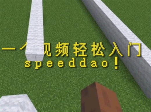 [全站首发]0基础轻松入门speeddaotelly！（超详细speeddao教程）
