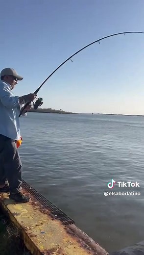 Ultimate Guide to Redfish Fishing Techniques