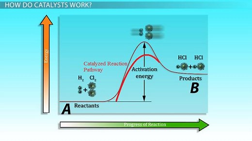 Effect of Catalysts on Rates of Reaction