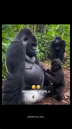 मराठी मुलगा 💞 on Instagram: "खरचं..!😭😅 . . . अश्या प्रकार च्या Brand विडिओ साठी page ला लगेच Follow करा ❤️💯💫 . . . 𝗙𝗼𝗹𝗹𝗼𝘄 >>> ❤️ @marathi_love_.status_ 💕 . . . 𝗗𝗺 𝗙𝗢𝗥 𝗽𝗮𝗶𝗱 𝗰𝗼𝗹𝗹𝗮𝗯𝗿𝗼𝘁𝗶𝗼𝗻 𝗮𝘃𝗮𝗶𝗹𝗮𝗯𝗹𝗲 👉💸 . . . 𝗘𝗱𝗶𝘁 𝗯𝘆 »»» @marathi_love_.status_💕 . . . 𝗧𝘂𝗿𝗻 𝗼𝗻 𝗽𝗼𝘀𝘁 𝗻𝗼𝘁𝗶𝗳𝗶𝗰𝗮𝘁𝗶𝗼𝗻𝘀 ✨🛎️ . . . #reels #instareels #trending #trendingreels #explore explorepage marathi marathilove . . . { ❤️💫👩‍❤️‍👩✅ }"