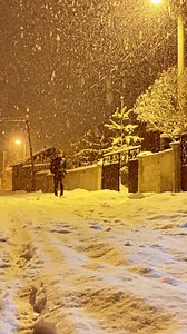 Divane Gönlüm | Arif Arifoğulları