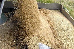 Le blé européen stable, soutenu par la faiblesse de l'euro et les rumeurs d'achats chinois