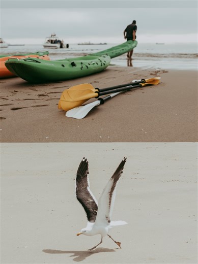 Exploring Namibia's Tour Guides Office