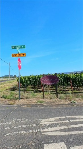 A Walk Through Napa’s Vineyards 🍇