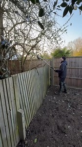 🌿Perfekter Schnitt, ganz ohne Kabel! 🌿 Mit dem EGO MHBC1204E Akku-Multitool und dem Kettensägen-Aufsatz geht das Schneiden von Sträuchern wie dem Buddleja mühelos von der Hand! 💪⚡ Keine Kabel, kein Durcheinander – einfach eine starke, zuverlässige Leistung, die Ihre Arbeit deutlich erleichtert. #EGOPower #AkkuPower | EGO Power Plus